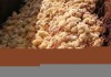 نیت اصلی معدوم سازی جوجه‌های یک روزه افزایش قیمت مرغ و تخم مرغ است