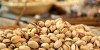 زنگ خطر بیخ گوش پسته ایران؛ اسپانیا طلای سبز را جایگزین زیتون می‌کند