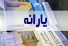۶۰هزار خانوار از دریافت «یارانه» حذف شدند