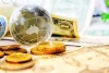 تاثیر شگرف کوچک شدن اقتصاد جهانی بر پیکر اقتصاد کشورهای در حال توسعه