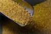 قیمت جدید طلا ۲۶ اردیبهشت ۱۴۰۳