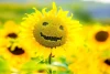 ۸ روش ساده برای جذب انرژی مثبت